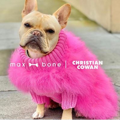 프랑스 대통령·할리우드 스타가 사랑한 반려동물용품 셀렉숍 ‘꼬띠샵’ 오픈