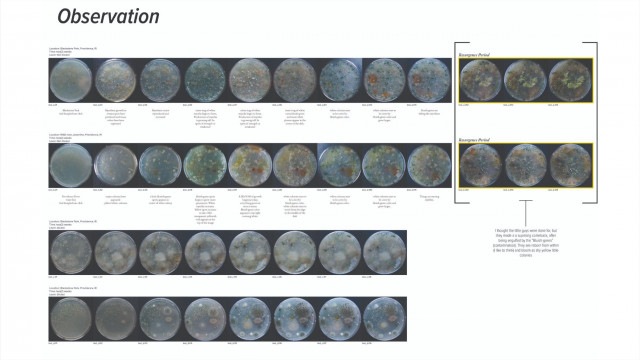 현대차그룹·로드아일랜드디자인스쿨, 미래 도시 디자인 공동연구