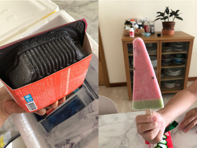 동남아 물류서비스 전문업체 토로스, 싱가포르 냉동 배송 오픈했다.