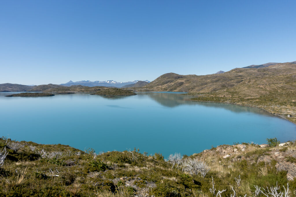 칠레 동 위원회, 주요 동 생산업체 실적 발표