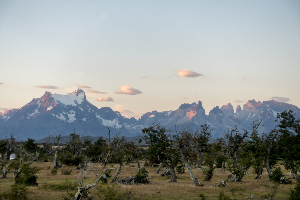 칠레 동 위원회, ‘21년 동 가격 전망 하향 조정