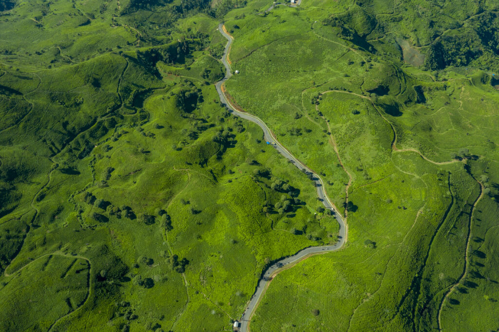 인도네시아의 석탄 금수조치로 세계 공급망 위기