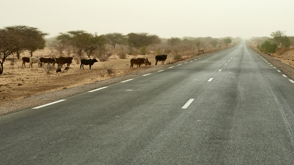 광산업체, 칠레·페루 자원 민족주의 심화 속 아프리카 사업 확대 추진