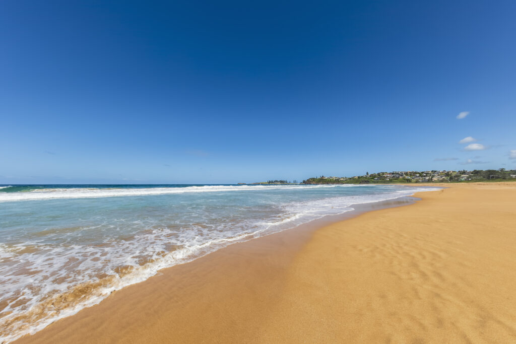 호주 Pilbara Minerals사, Pilgangoora 프로젝트 확장에 A$3억불 투자 결정