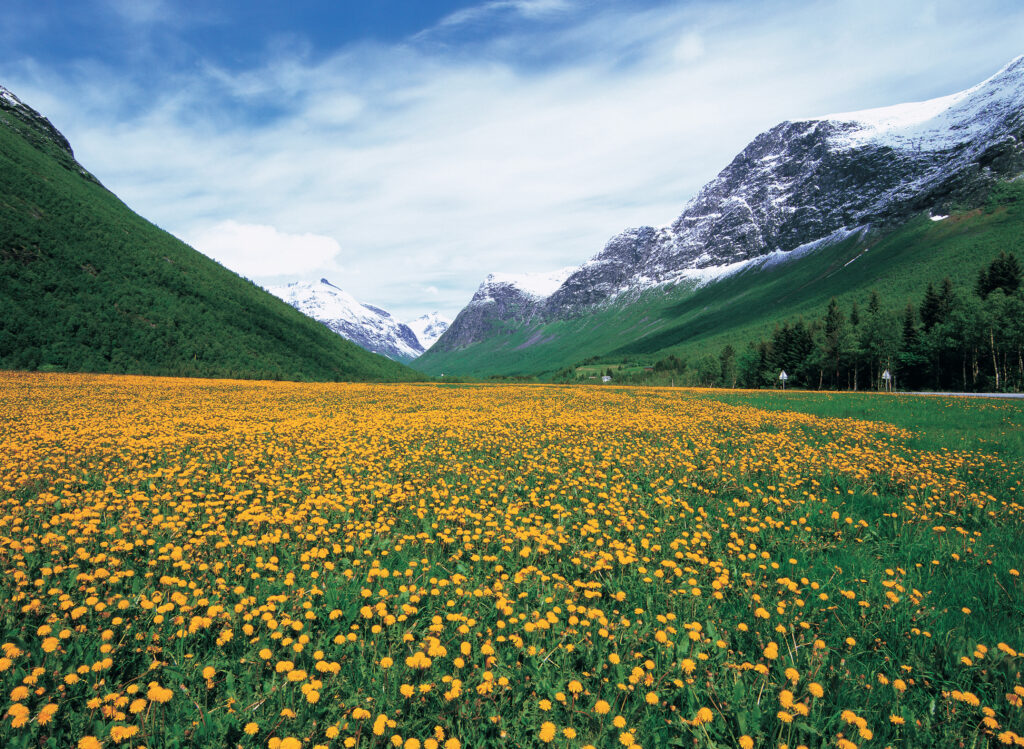 Boliden사, 노르웨이 파업으로 대유럽 아연 수출 불가항력 선언
