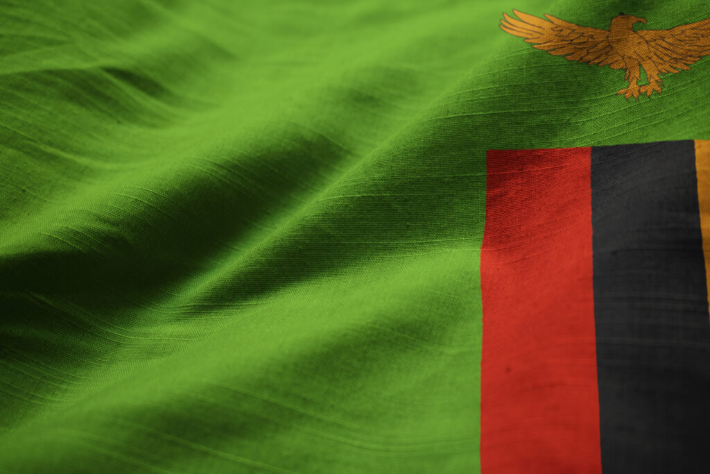 잠비아, 광산업체 당 광업권 보유 수 최대 5개로 제한